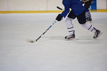 Image showing ice hockey player in action