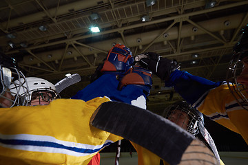 Image showing teen girls ice hockey sport players