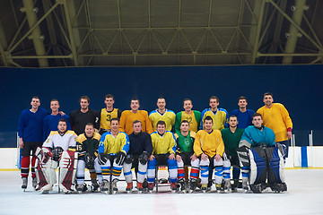 Image showing ice hockey players team portrait