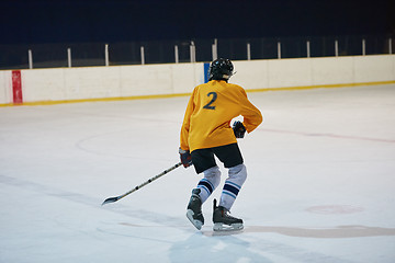 Image showing ice hockey player in action