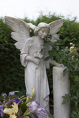 Image showing Stone angel