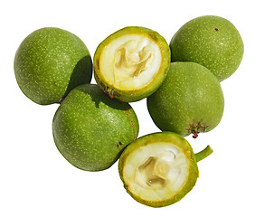 Image showing Green young walnuts