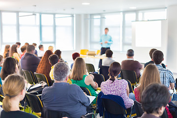 Image showing Speaker Giving a Talk at Business Meeting.