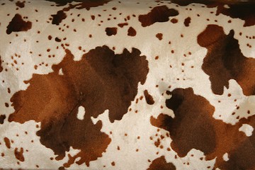 Image showing Cow pattern