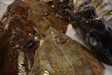 Image showing FISHMARKED