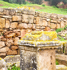 Image showing chellah  in morocco africa the old roman deteriorated monument a