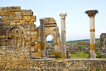 Image showing volubilis in morocco africa the stork nest