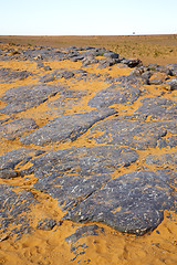 Image showing  old fossil in  the desert of morocco sahara and rock  stone  