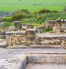 Image showing volubilis in morocco africa the old roman deteriorated monument 