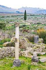 Image showing volubilis    deteriorated monument and site