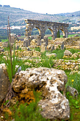 Image showing volubilis in morocco africa roman deteriorated monument  site