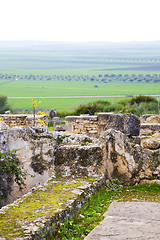 Image showing volubilis in morocco africa the   monument and site