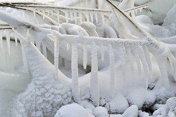 Image showing Fantastic landscape; nice white snowy icicles; background