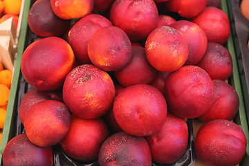 Image showing Nectarines