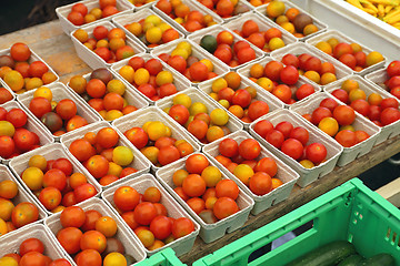 Image showing Cherry Tomatoes