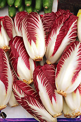 Image showing Radicchio