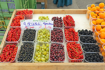 Image showing Berries