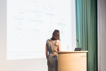 Image showing Business woman making business presentation.