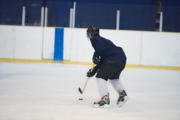 Image showing ice hockey player in action