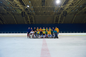 Image showing ice hockey players team portrait