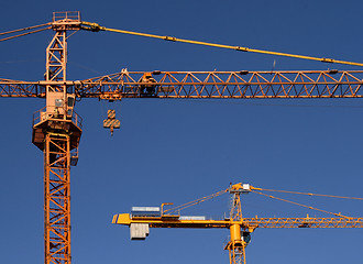 Image showing Stell cranes