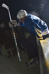 Image showing ice hockey players on bench