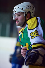 Image showing ice hockey players on bench