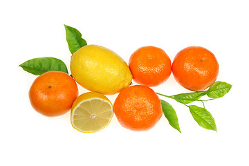 Image showing Colorful fruit