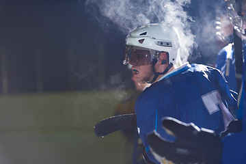 Image showing ice hockey players on bench