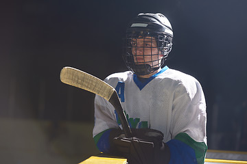 Image showing ice hockey player portrait