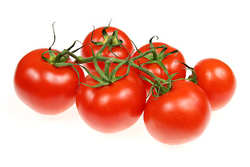 Image showing Red tomatos