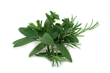 Image showing Aromatic herbs for cooking