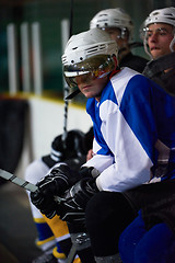 Image showing ice hockey players on bench