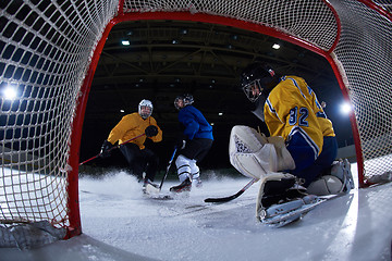 Image showing ice hockey goalkeeper