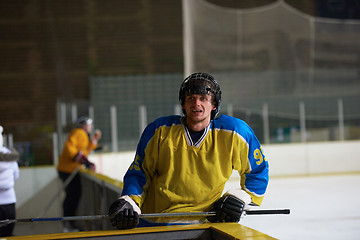 Image showing ice hockey player portrait