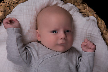 Image showing Newborn portrait