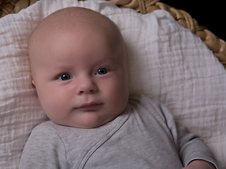 Image showing Newborn portrait