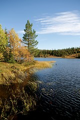 Image showing Tarn