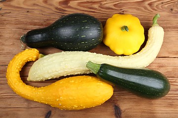 Image showing Squashes  and zucchini