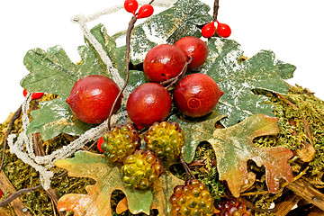 Image showing Berry and leaf