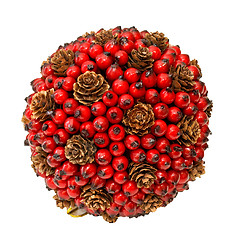 Image showing Briar ball