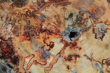 Image showing rock wood background
