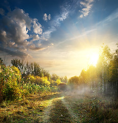 Image showing Fog in autumn wood