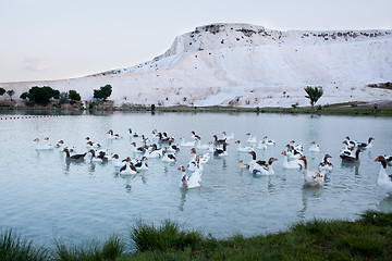 Image showing Lake in Pamukkale, Turkey