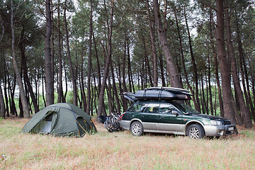 Image showing Tent camping in the forest