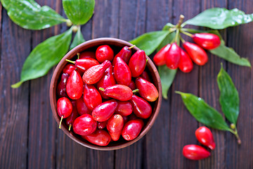 Image showing berries