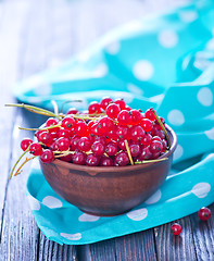 Image showing red currant