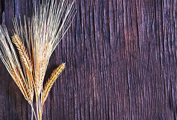 Image showing wheat