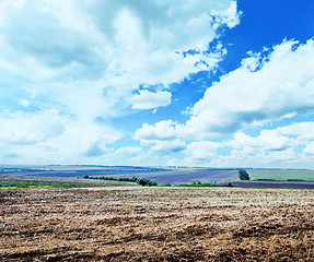 Image showing ploughed field with sky