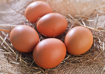 Image showing raw chicken eggs